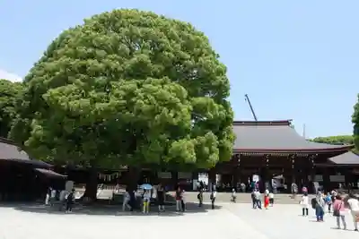 明治神宮のその他建物