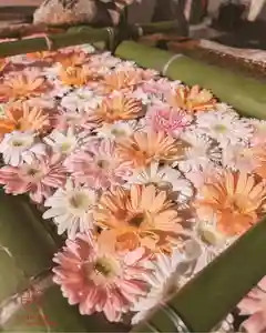 立志神社(滋賀県)(2025年01月02日(木) 15時24分52秒投稿)