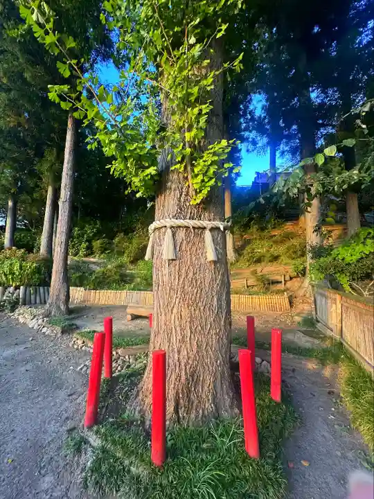 大衡八幡神社の自然