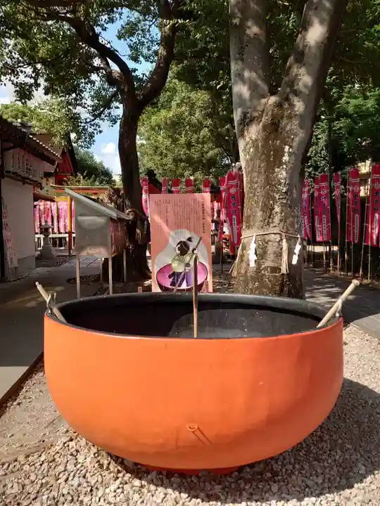 種貸社(住吉大社末社)(大阪府)