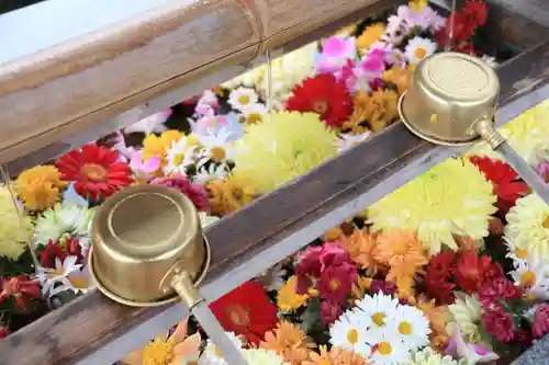 豊景神社の手水