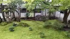 仁和寺の庭園