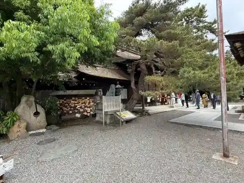 長浜八幡宮(滋賀県)