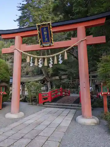 天河大辨財天社の鳥居