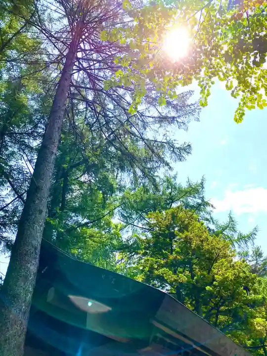 大谷地神社の自然