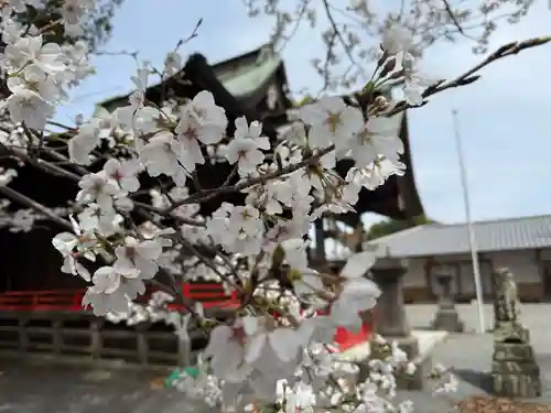美奈宜神社(福岡県)