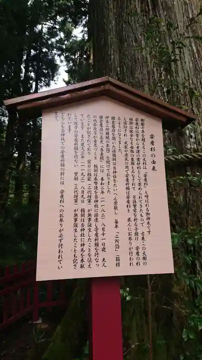 箱根神社の歴史
