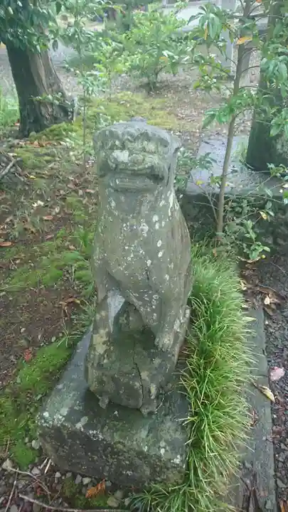 須岐神社の狛犬
