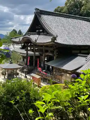 岡寺(龍蓋寺)(奈良県)