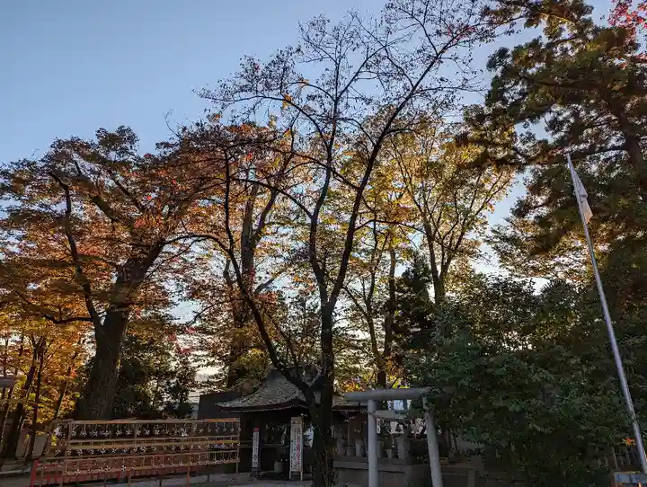 上野総社神社(群馬県)