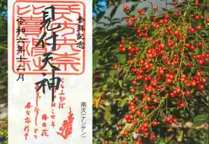 矢奈比賣神社(見付天神)の御朱印 2024年12月01日(日)〜(2024年11月17日(日) 13時16分11秒投稿)