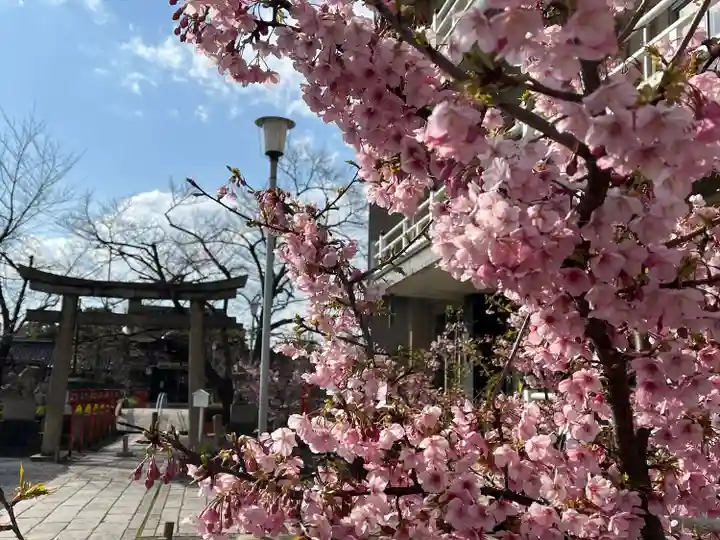 六孫王神社(京都府)