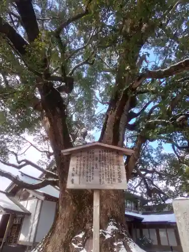 太宰府天満宮の自然