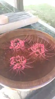 横浜　西方寺(神奈川県)