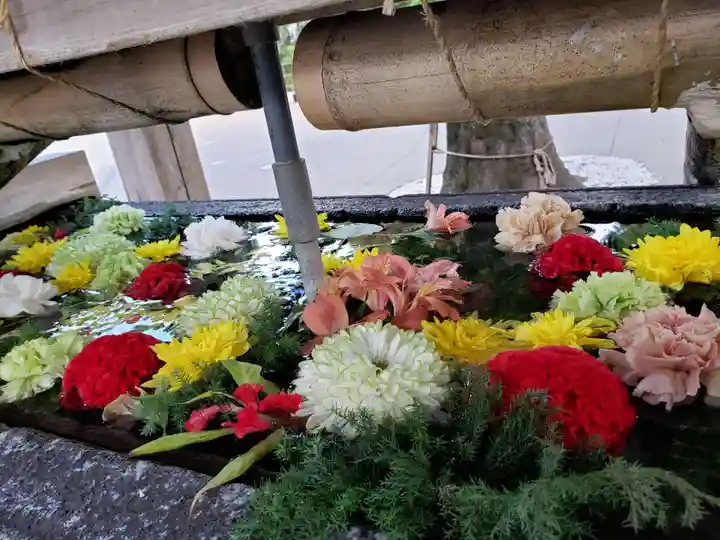 鳩森八幡神社の手水舎