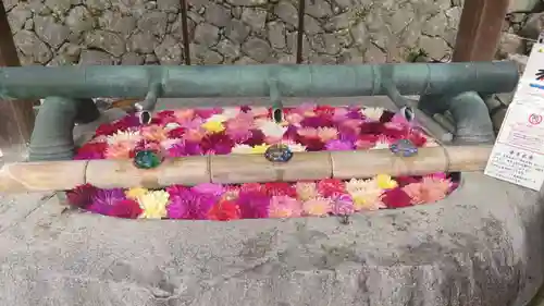 岡寺（龍蓋寺）(奈良県)