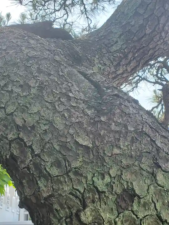 梁田招魂社(栃木県)