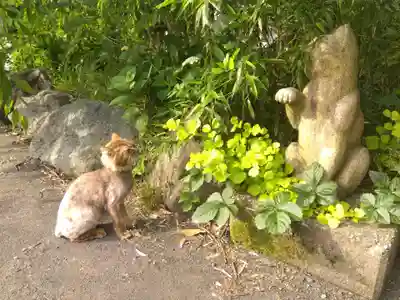御誕生寺（猫寺）(福井県)