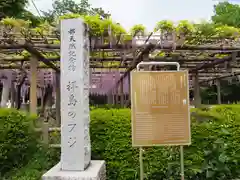 日吉神社の建物その他