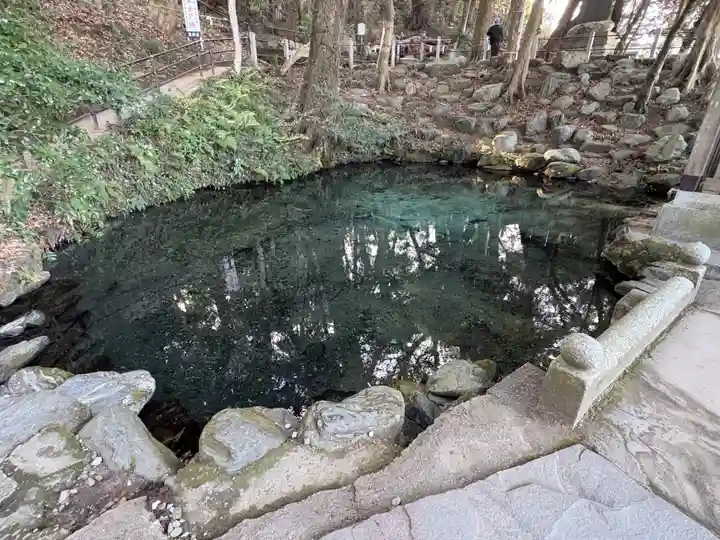 泉神社(茨城県)