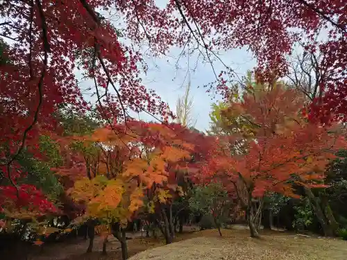 世尊寺(愛知県)