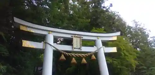 宝登山神社の鳥居