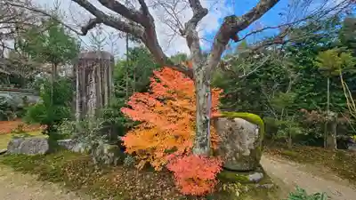 実光院(京都府)