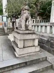 乃木神社の狛犬