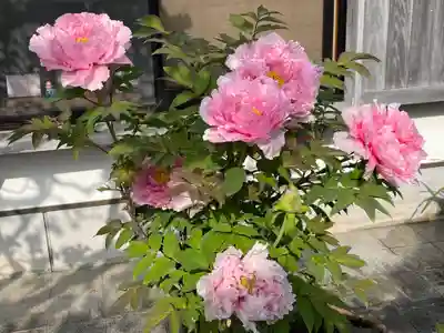 梅香寺(三重県)