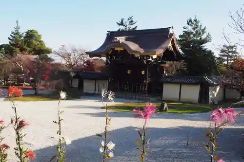 大覚寺の庭園