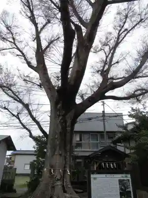 龍ケ崎八坂神社(茨城県)