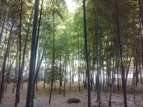 報国寺(神奈川県)