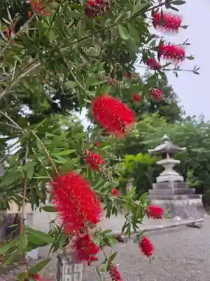 沙沙貴神社(滋賀県)