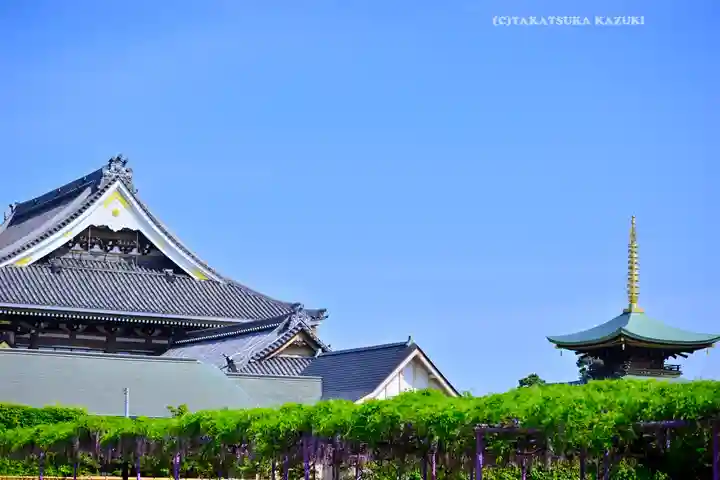 三学院(埼玉県)