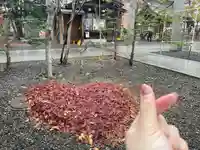 彌彦神社 (伊夜日子神社)の庭園