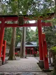 椿大神社(三重県)