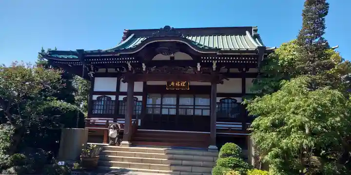 礼林寺の本殿・本堂