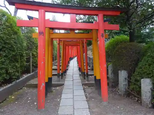 根津神社の鳥居
