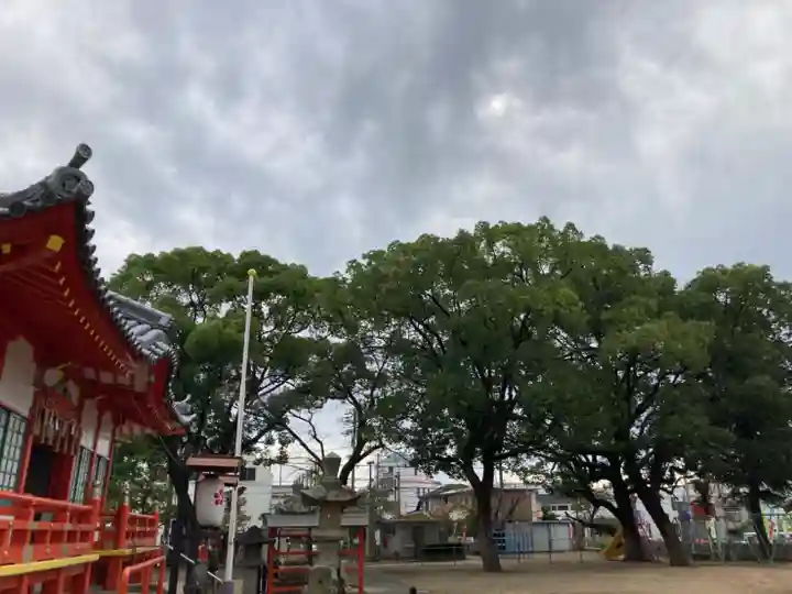 粟津天満神社の自然