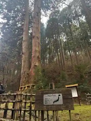 御岩神社の{uncategorized: "未分類", other: "その他", undefined: "問題あり", building: "その他建物", grave: "お墓", sacred_gate: "鳥居", guardian: "狛犬", statue: "像", buddha: "仏像", history: "歴史", nature: "自然", garden: "庭園", animal: "動物", pagoda: "塔", temizu: "手水舎", mountain_gate: "山門・神門", sanctuary: "本殿・本堂", subordinate: "末社・摂社", art: "芸術", scenery: "景色", jizo: "地蔵", ema: "絵馬", goshuin: "御朱印", omikuji: "おみくじ", items: "授与品その他", amulet: "お守り", goshuincho: "御朱印帳", eats: "食事", festival: "お祭り", votive_dance: "神楽", shichigosan: "七五三参", wedding: "結婚式", experience: "体験その他", initially: "初詣", around: "周辺", anti_infection: "感染症対策"}