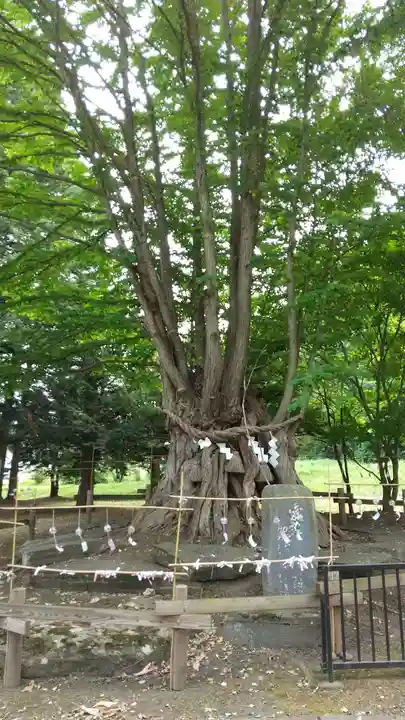 美幌神社の景色