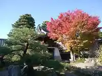 満月寺(浮御堂)の自然