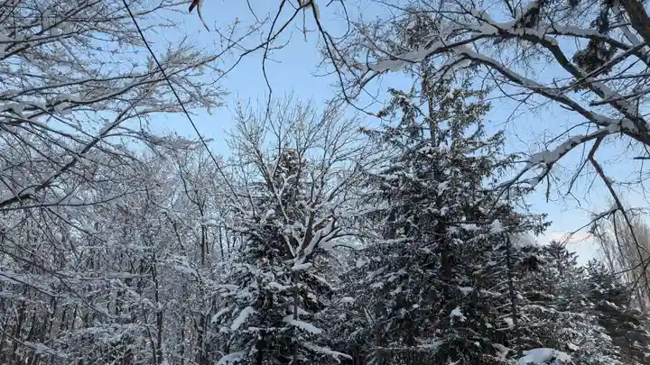 神楽神社の自然