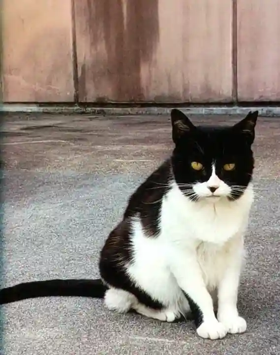 白金氷川神社(東京都)