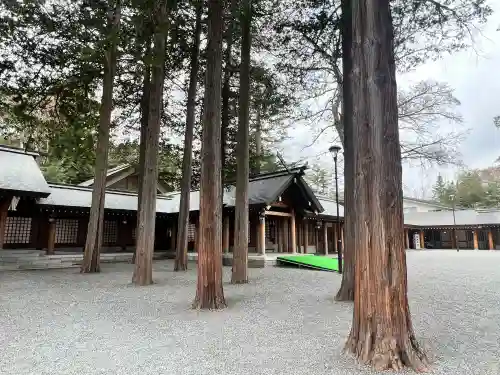 北海道神宮(北海道)