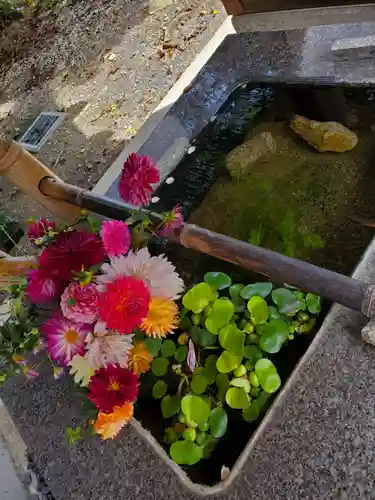 高司神社〜むすびの神の鎮まる社〜の手水