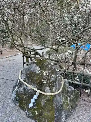 芳賀天満宮(栃木県)