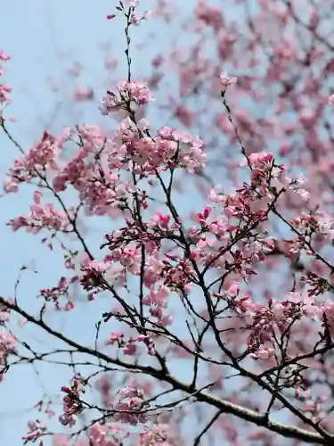 光明寺(静岡県)