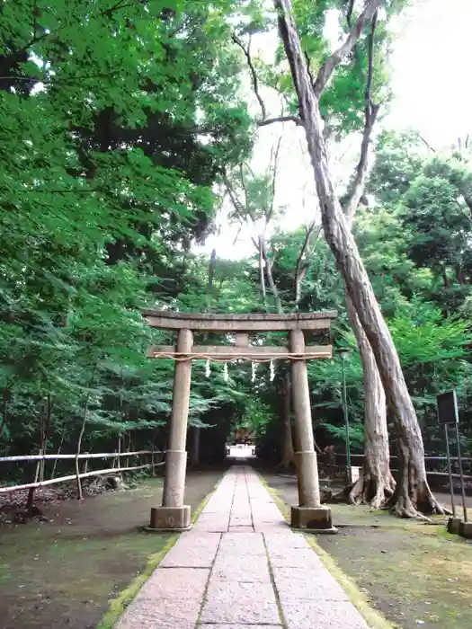 喜多見氷川神社の鳥居