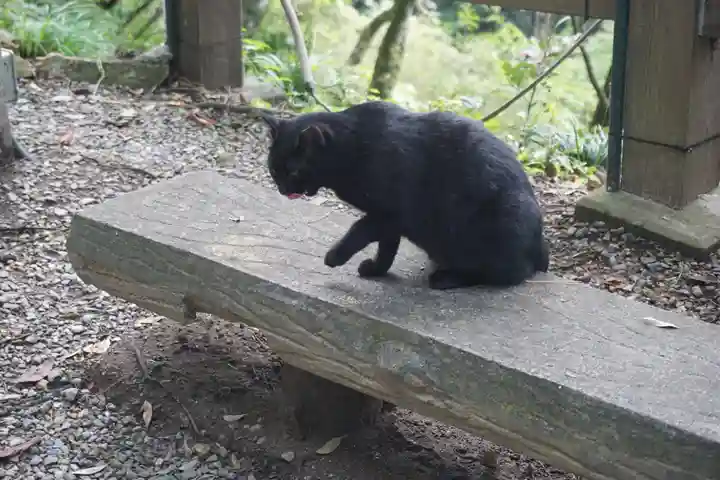 唐澤山神社の動物